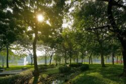 không gian sống xanh Centra Park Yên Sở