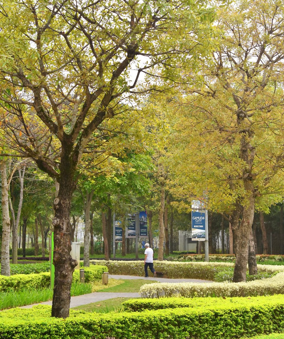 thảm thực vật đa tầng của công viên Yên Sở