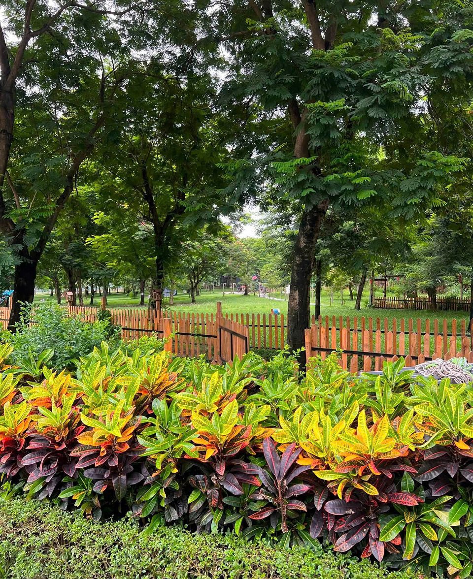 Cây xanh trong Công Viên Yên Sở